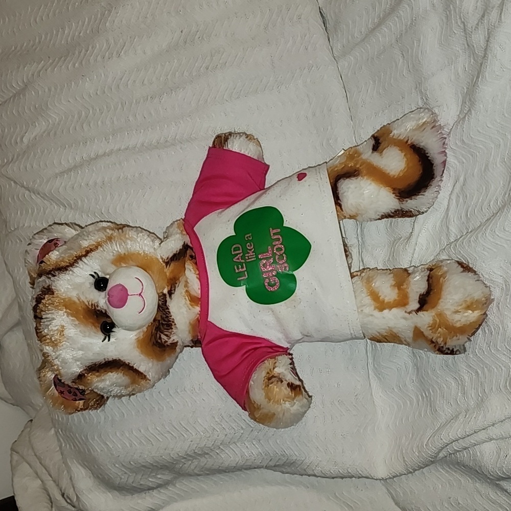 Build a bear Girl Scouts Bear